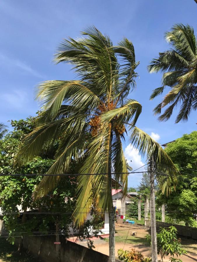 Wh Beach Resort Weligama Εξωτερικό φωτογραφία